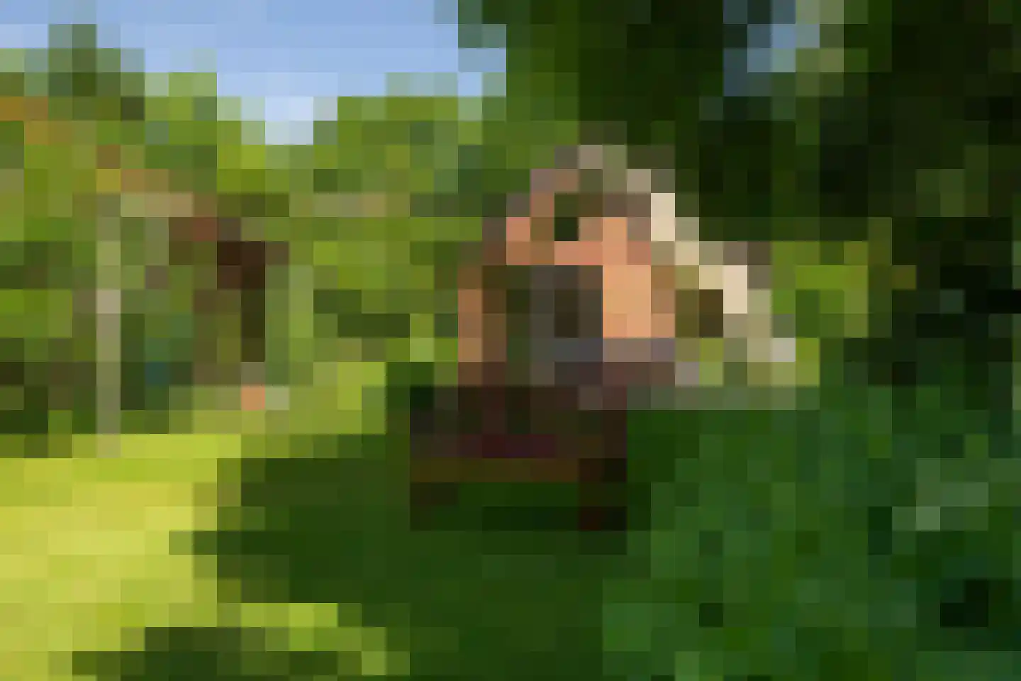 Berkenlaan 18 Schoonebeek thumbnail 48