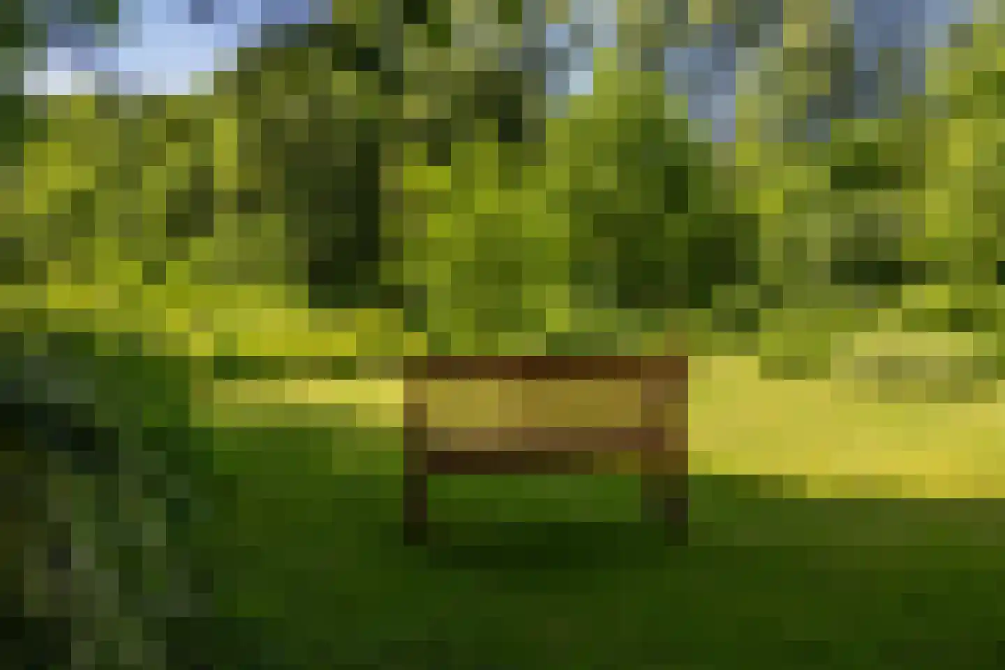 Berkenlaan 18 Schoonebeek thumbnail 49