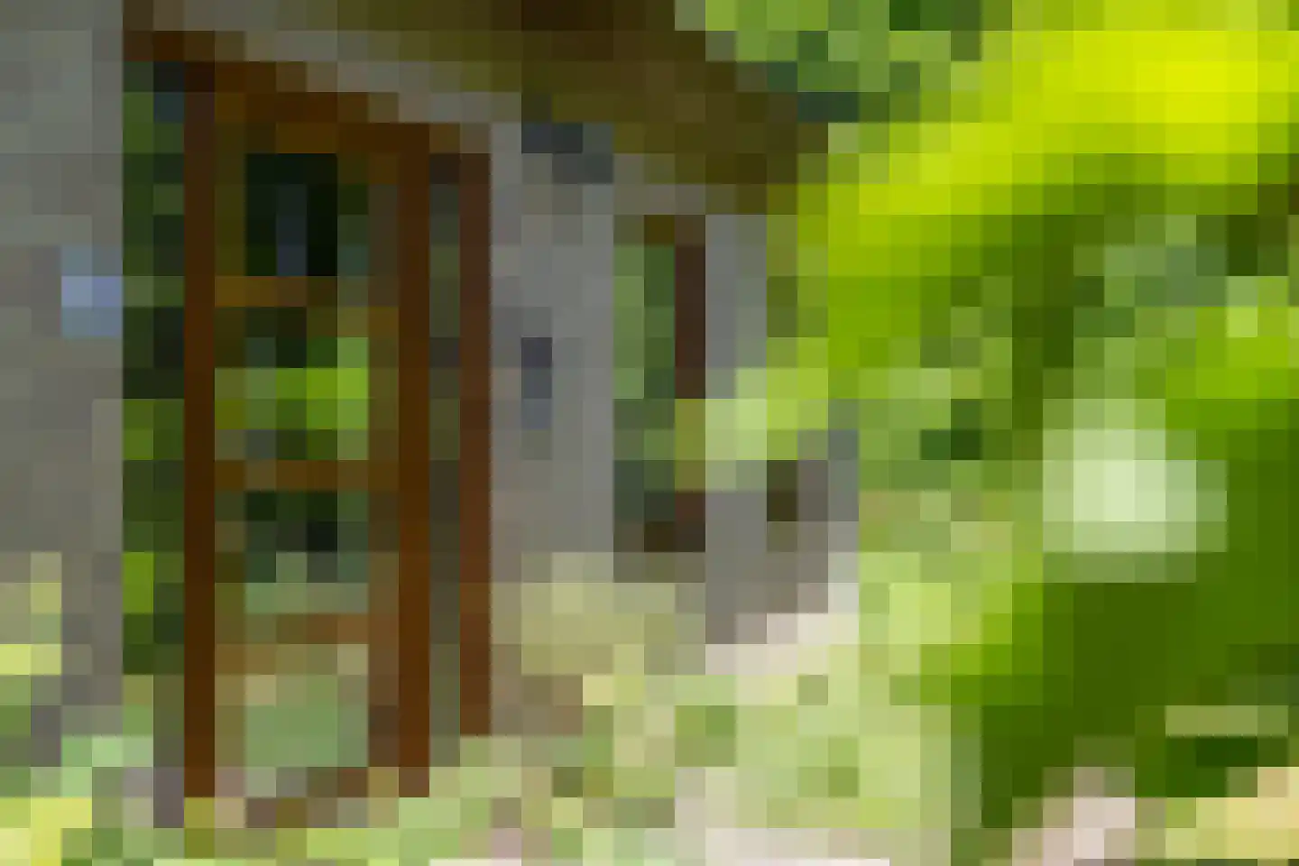 Berkenlaan 18 Schoonebeek thumbnail 5