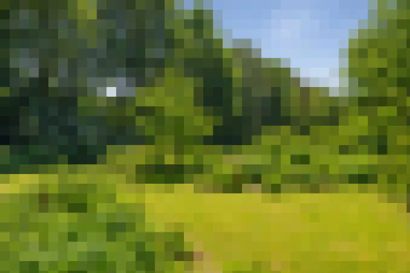 Berkenlaan 18 Schoonebeek thumbnail 50