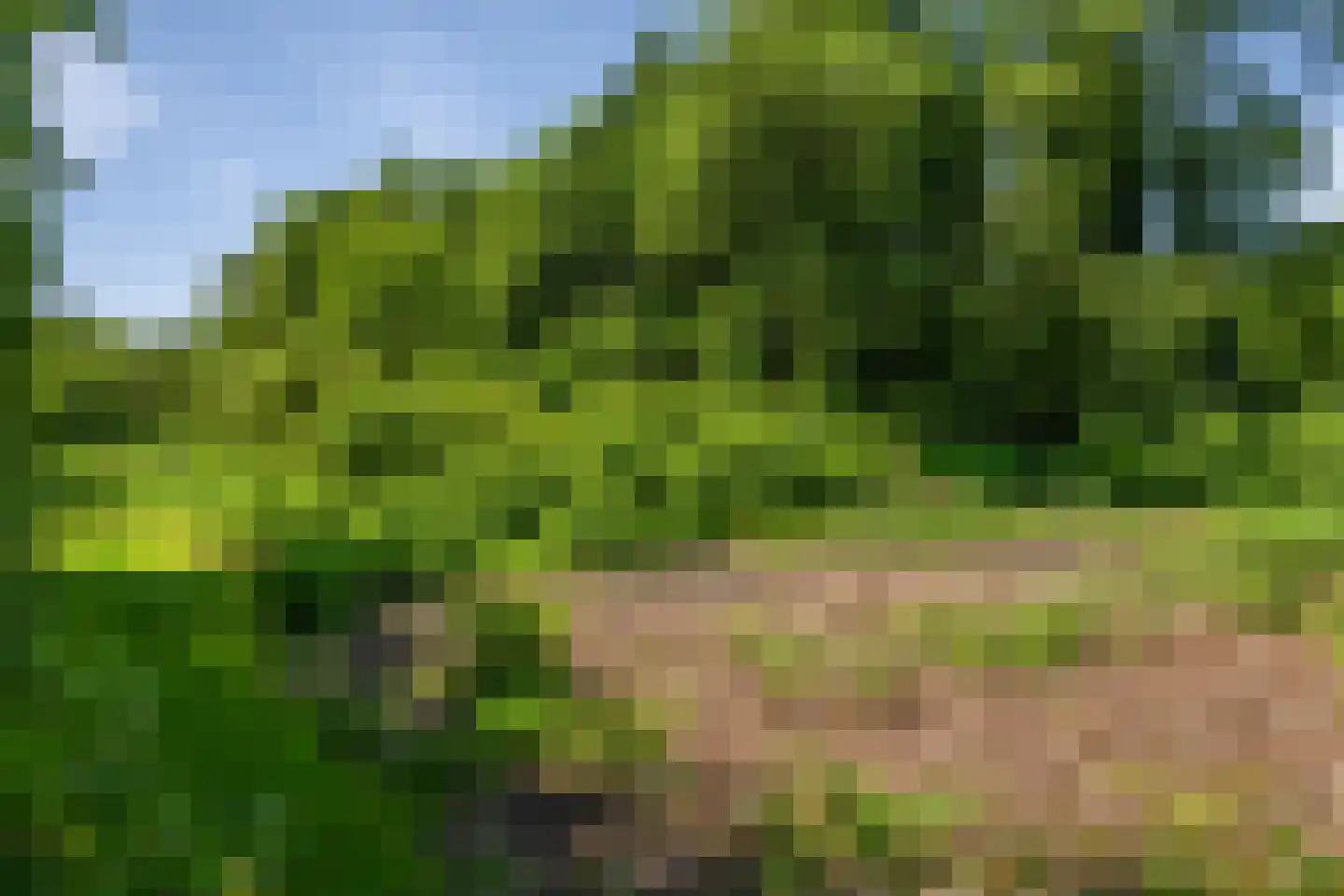Berkenlaan 18 Schoonebeek thumbnail 51