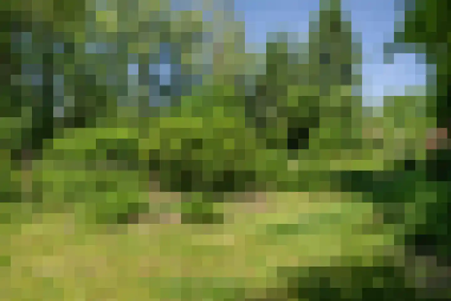 Berkenlaan 18 Schoonebeek thumbnail 52