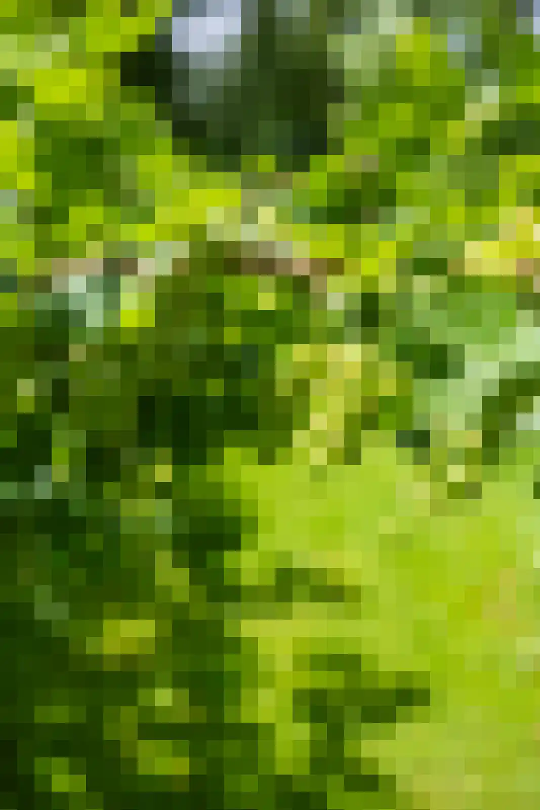 Berkenlaan 18 Schoonebeek thumbnail 54
