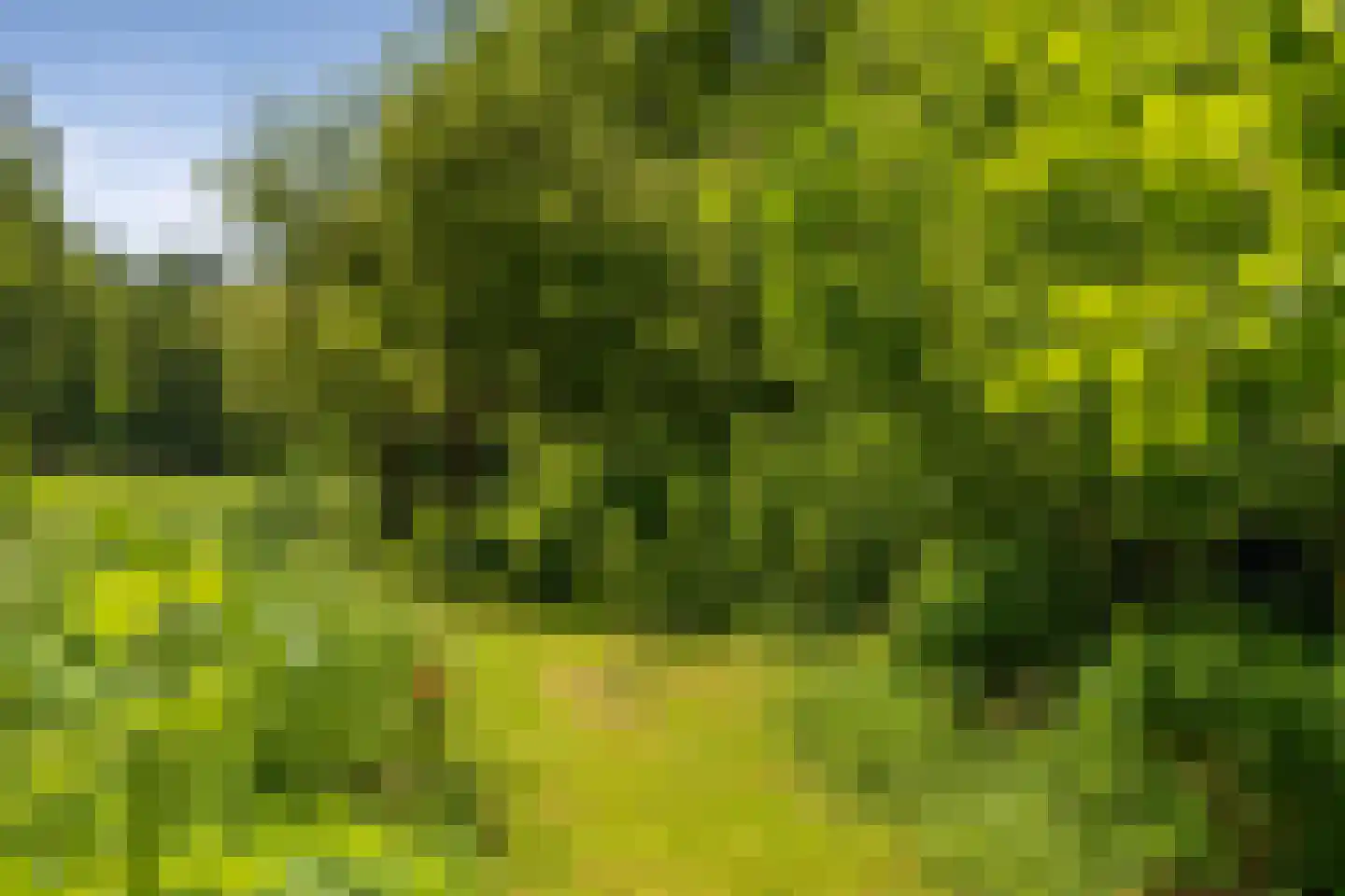 Berkenlaan 18 Schoonebeek thumbnail 55