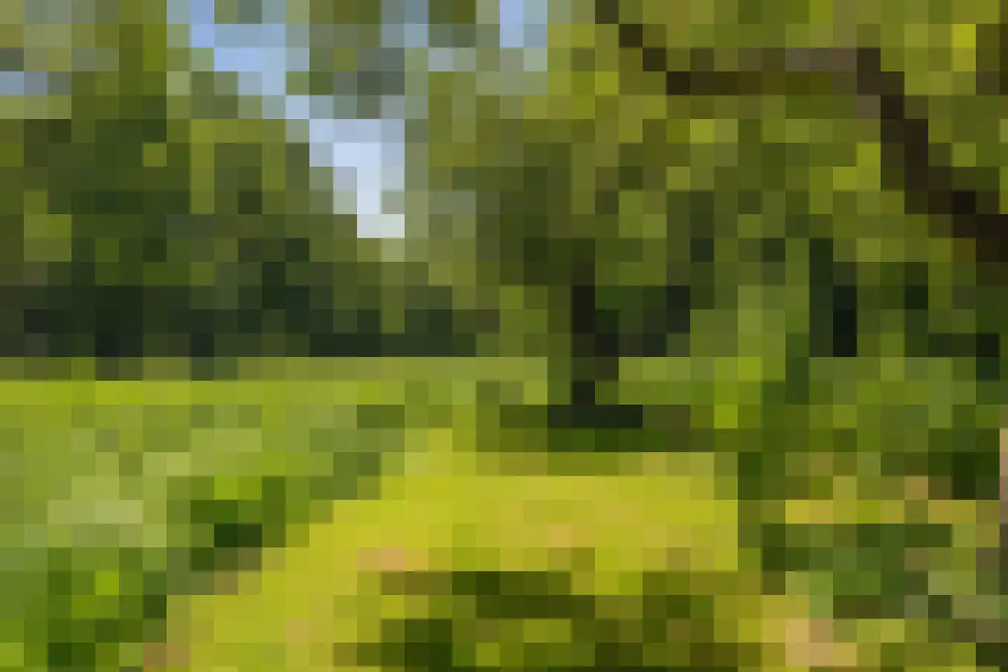 Berkenlaan 18 Schoonebeek thumbnail 56