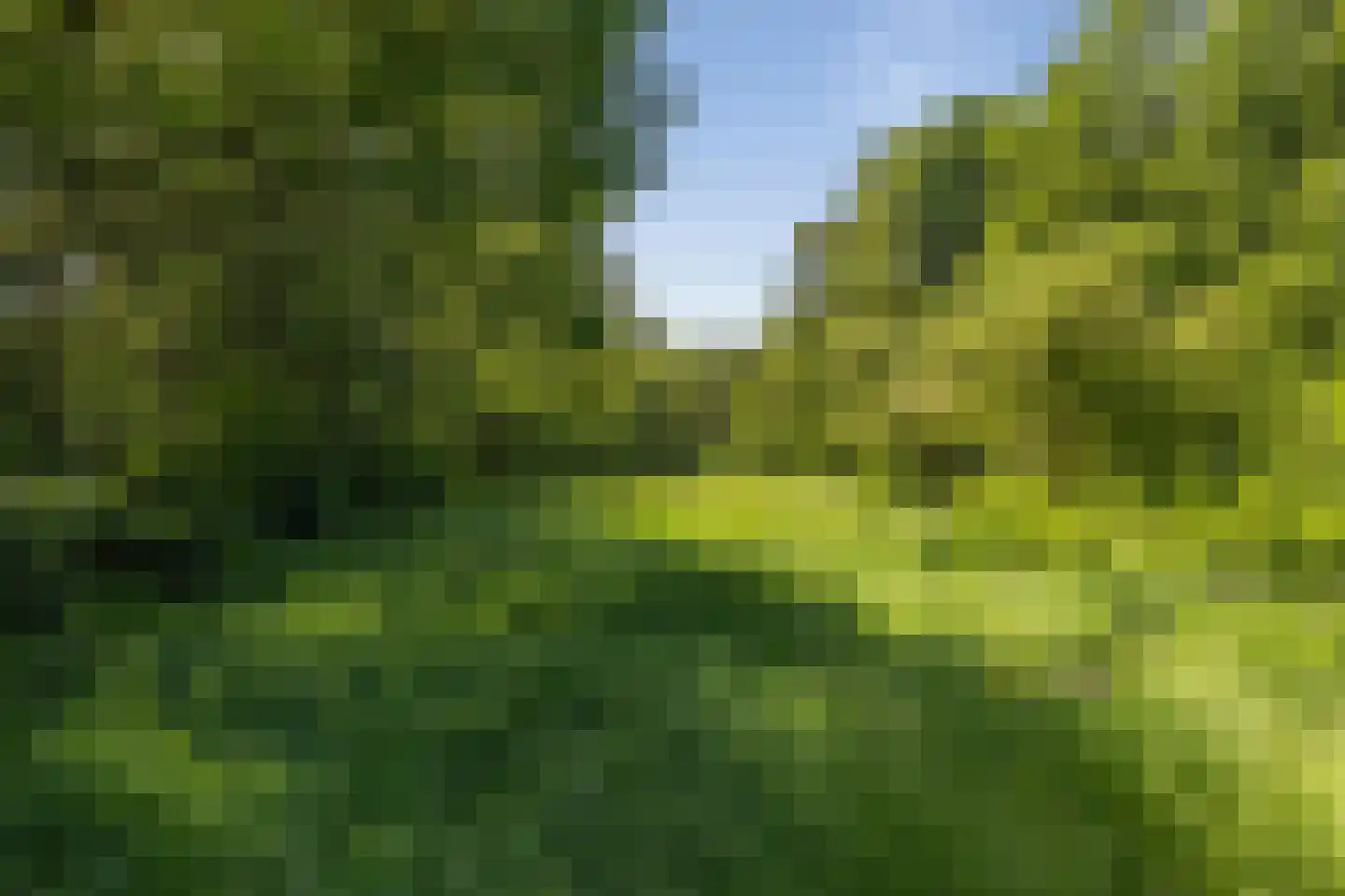 Berkenlaan 18 Schoonebeek thumbnail 60