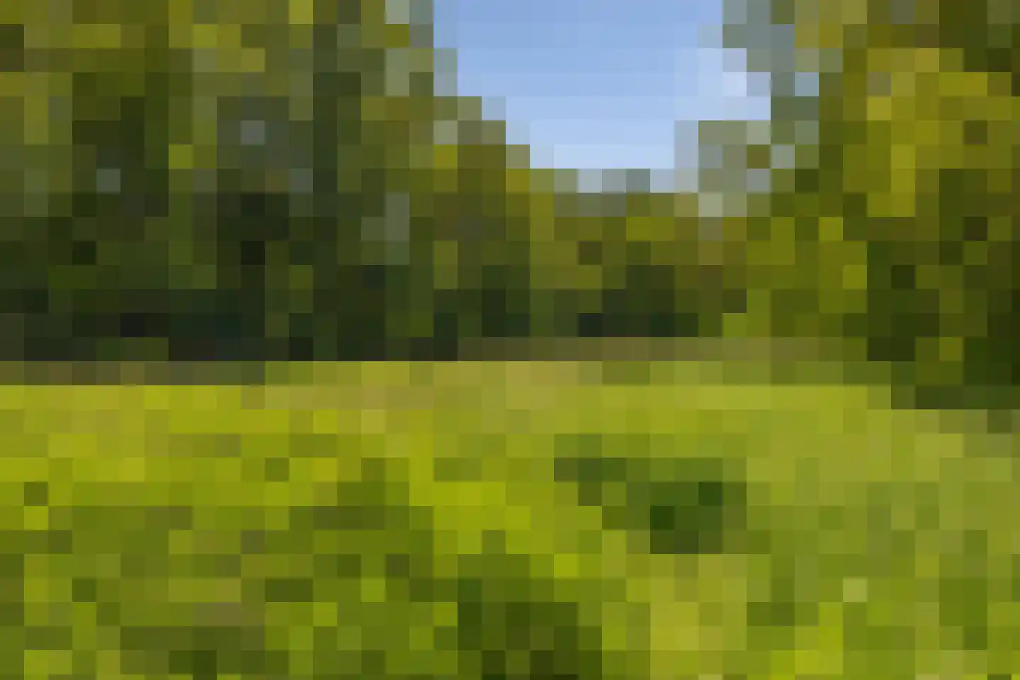 Berkenlaan 18 Schoonebeek thumbnail 61