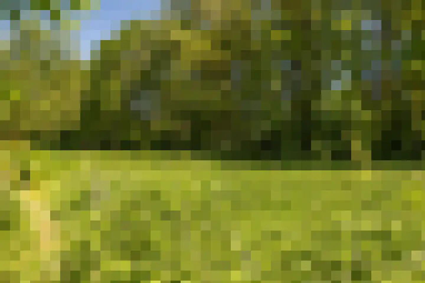 Berkenlaan 18 Schoonebeek thumbnail 62
