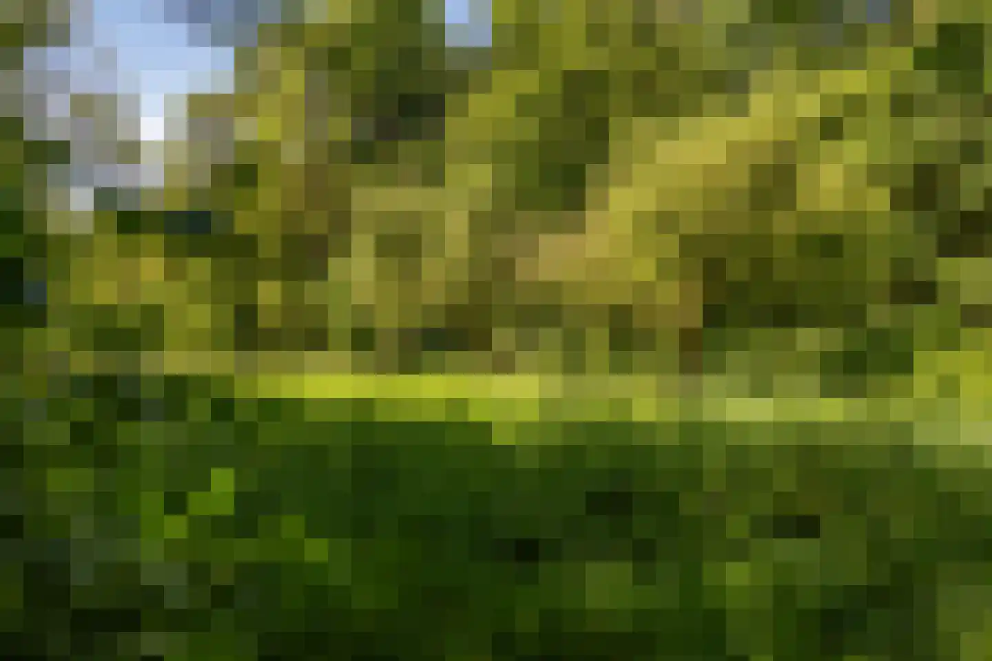 Berkenlaan 18 Schoonebeek thumbnail 63