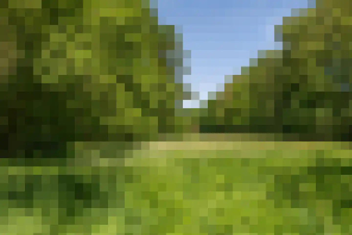 Berkenlaan 18 Schoonebeek thumbnail 64