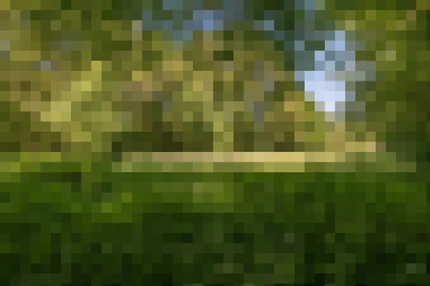 Berkenlaan 18 Schoonebeek thumbnail 65