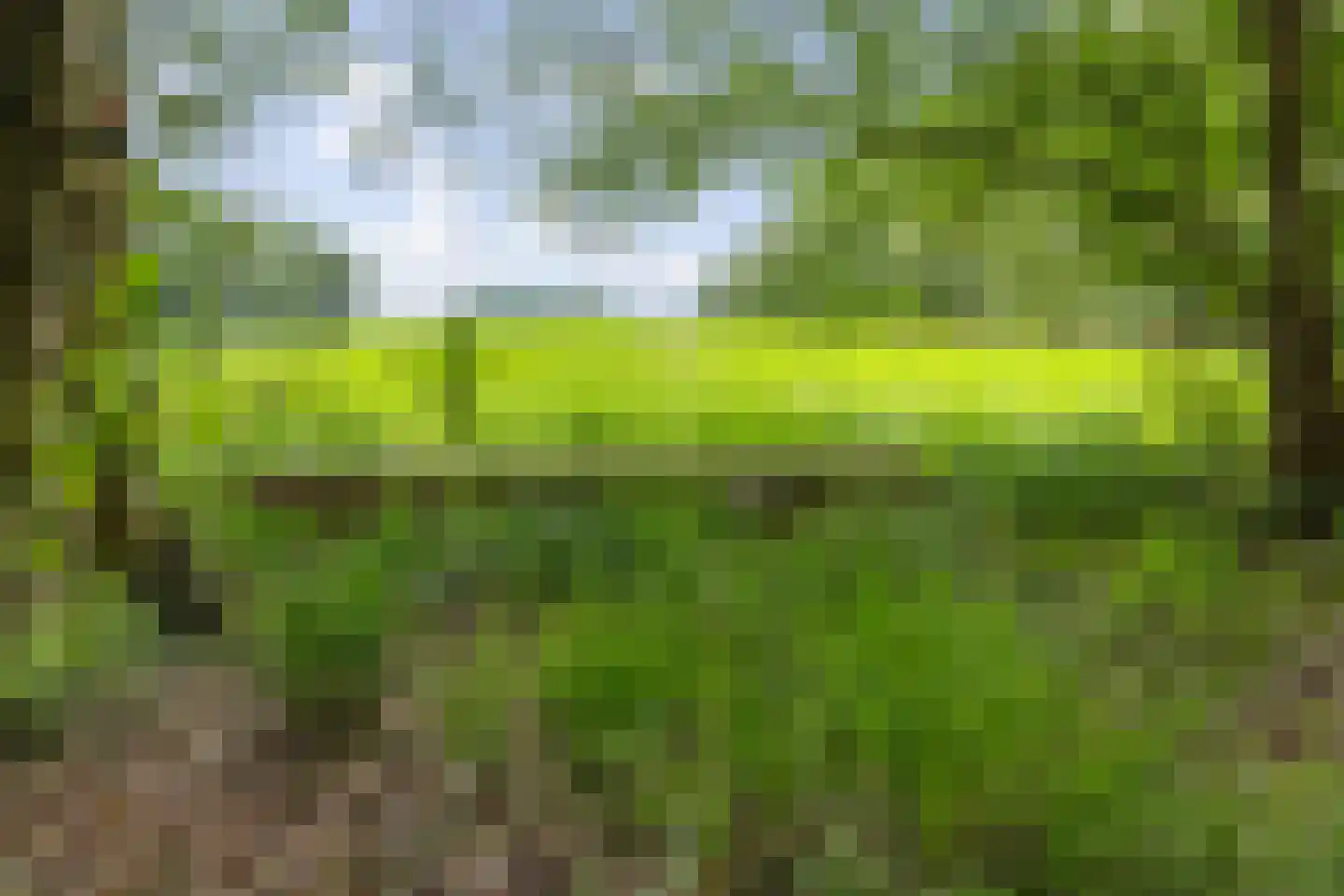 Berkenlaan 18 Schoonebeek thumbnail 71