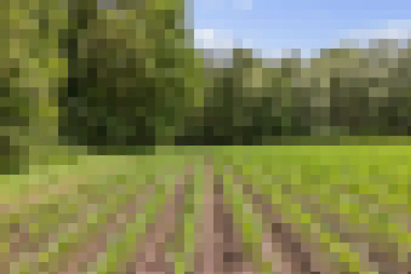 Berkenlaan 18 Schoonebeek thumbnail 72
