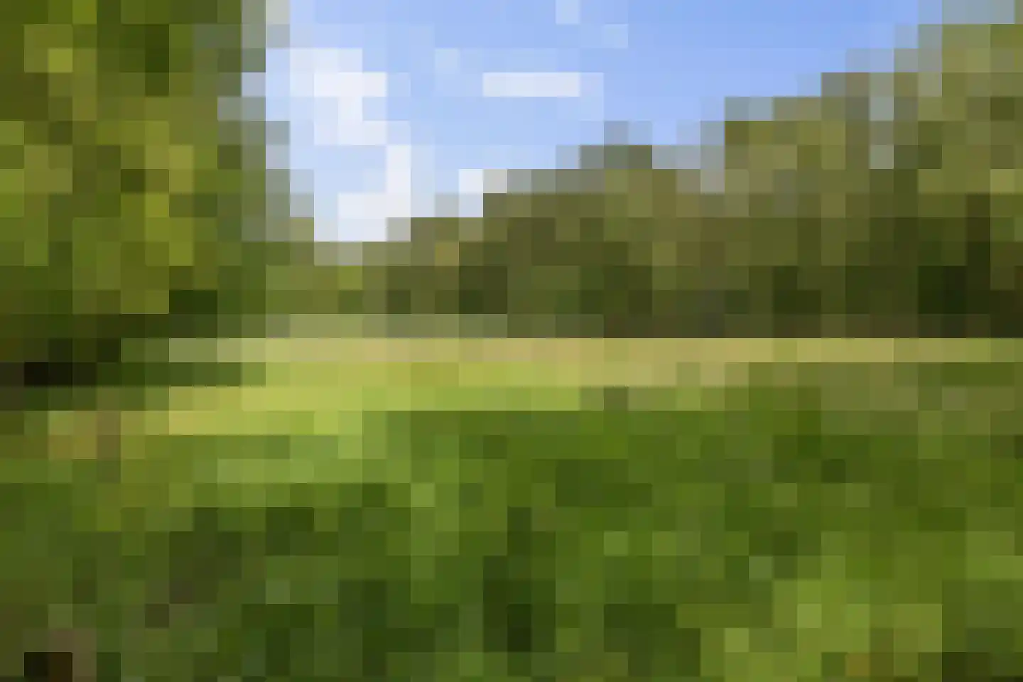 Berkenlaan 18 Schoonebeek thumbnail 73