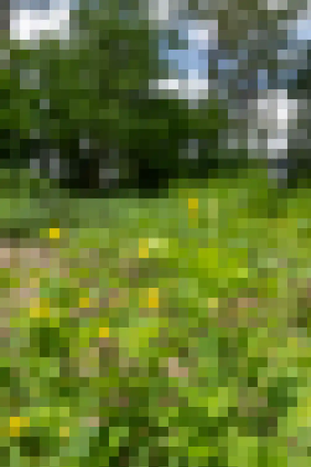 Berkenlaan 18 Schoonebeek thumbnail 74