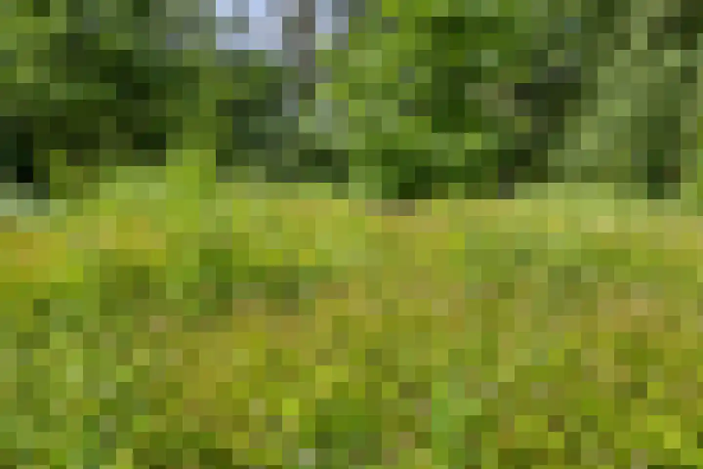 Berkenlaan 18 Schoonebeek thumbnail 75