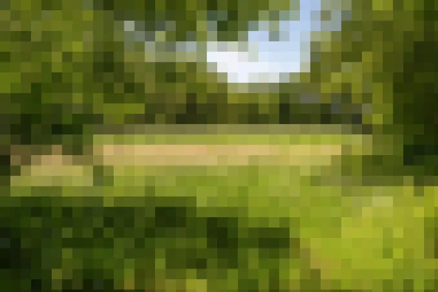 Berkenlaan 18 Schoonebeek thumbnail 76