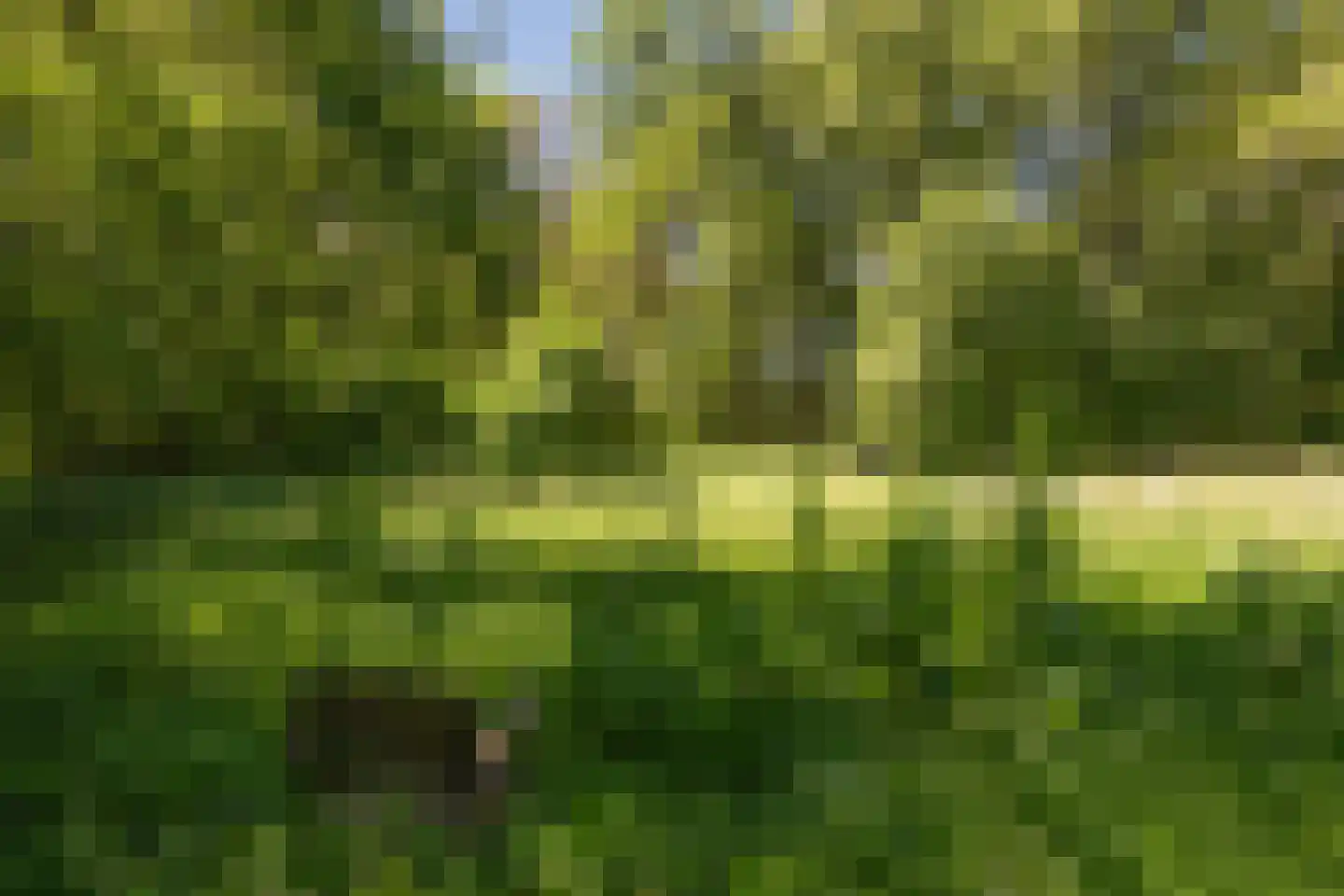 Berkenlaan 18 Schoonebeek thumbnail 77