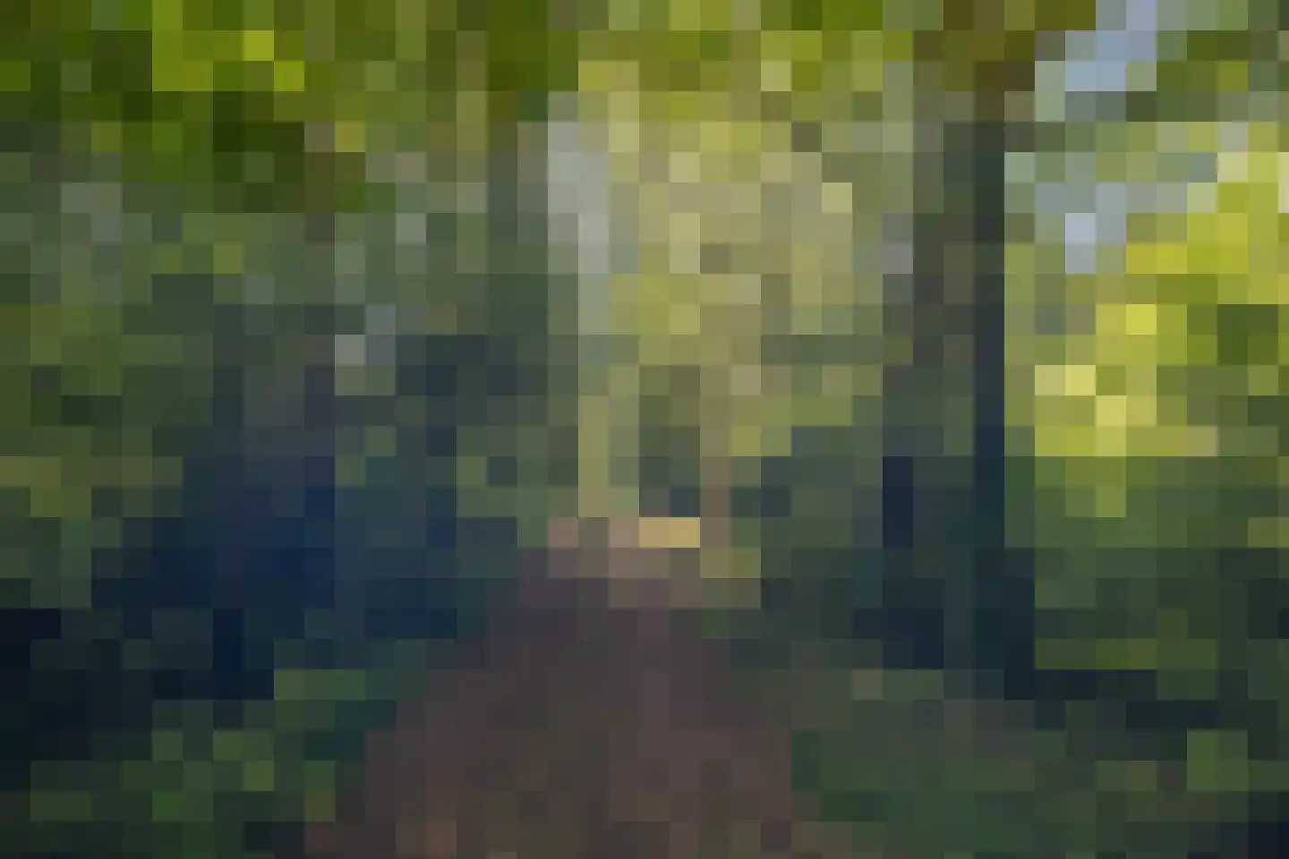 Berkenlaan 18 Schoonebeek thumbnail 78