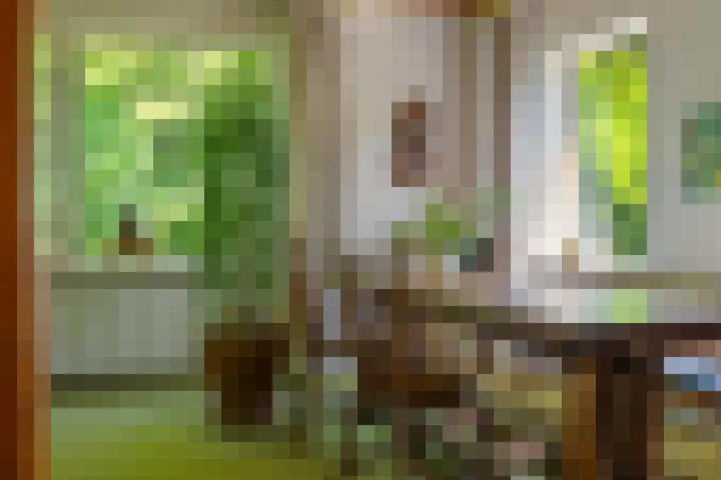 Berkenlaan 18 Schoonebeek thumbnail 8