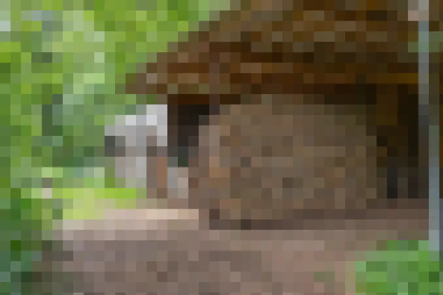 Berkenlaan 18 Schoonebeek thumbnail 81