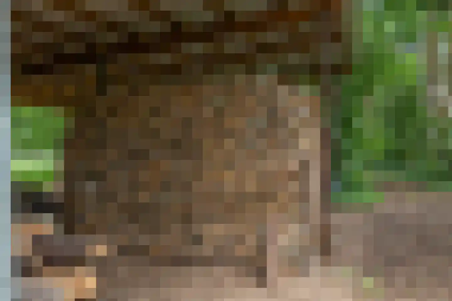 Berkenlaan 18 Schoonebeek thumbnail 82