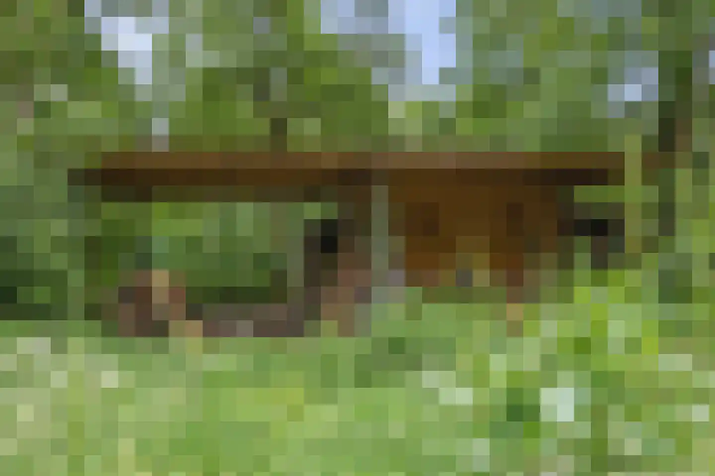Berkenlaan 18 Schoonebeek thumbnail 83