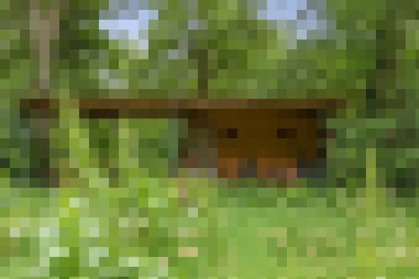 Berkenlaan 18 Schoonebeek thumbnail 84