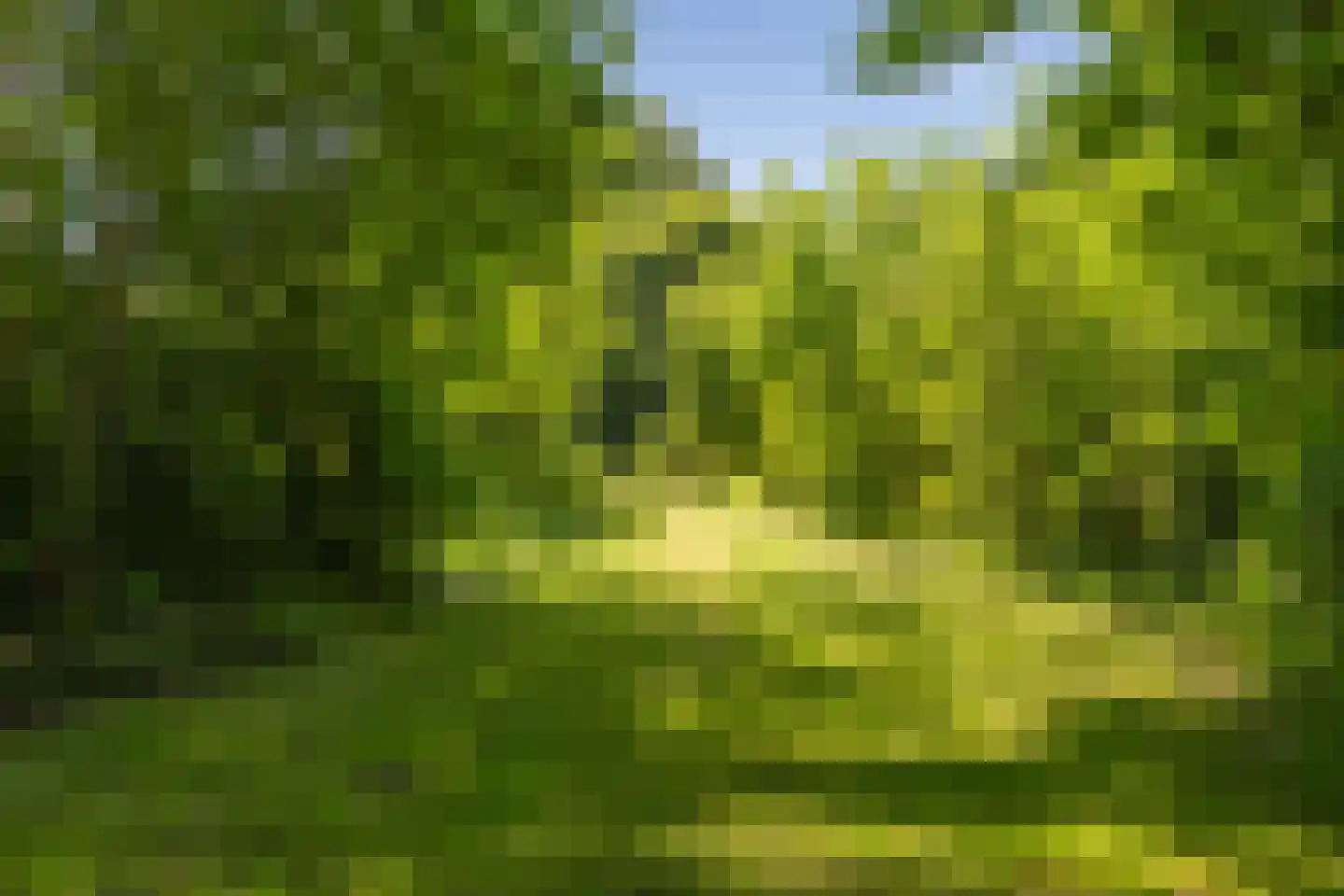Berkenlaan 18 Schoonebeek thumbnail 87