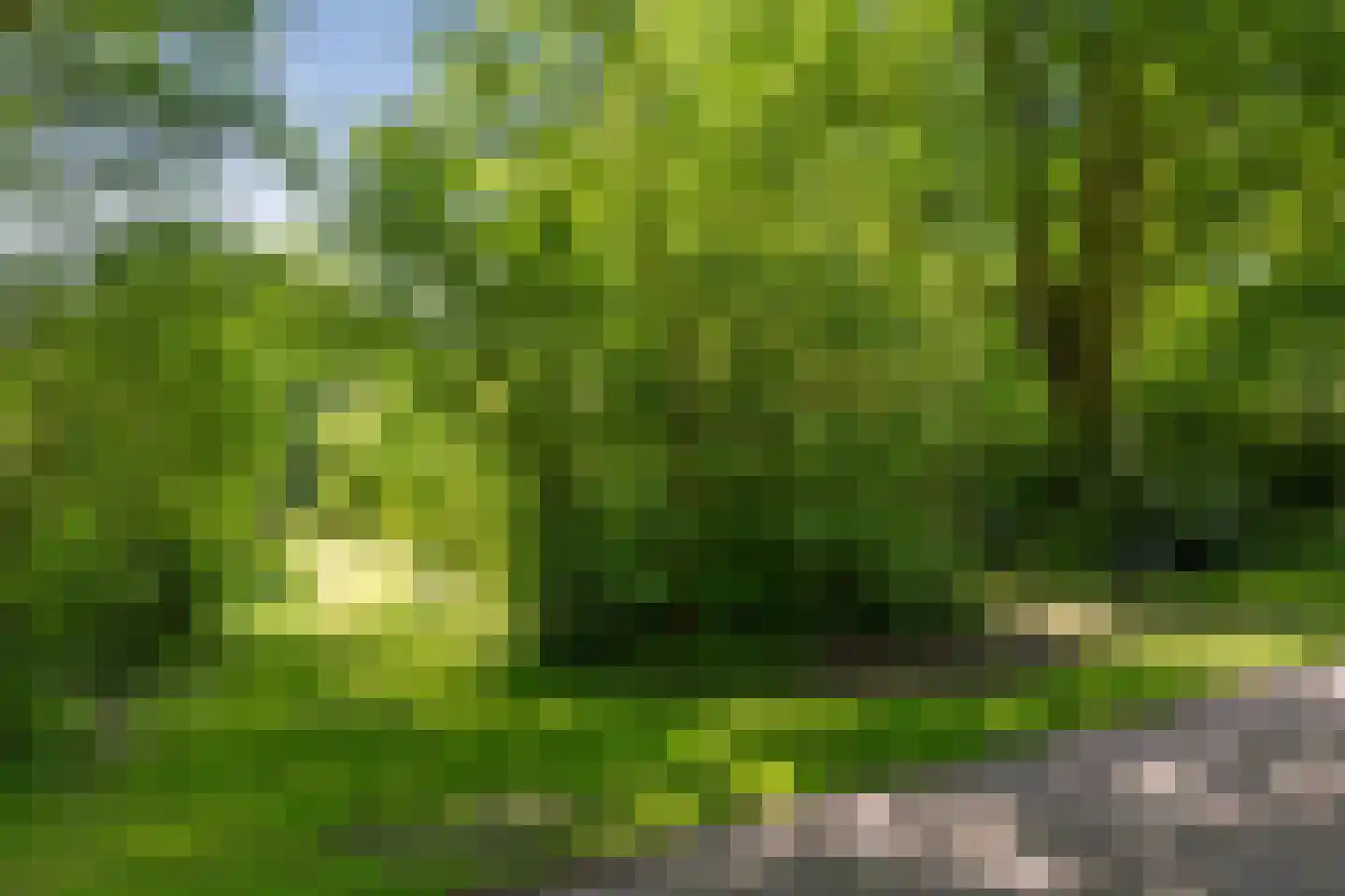 Berkenlaan 18 Schoonebeek thumbnail 88