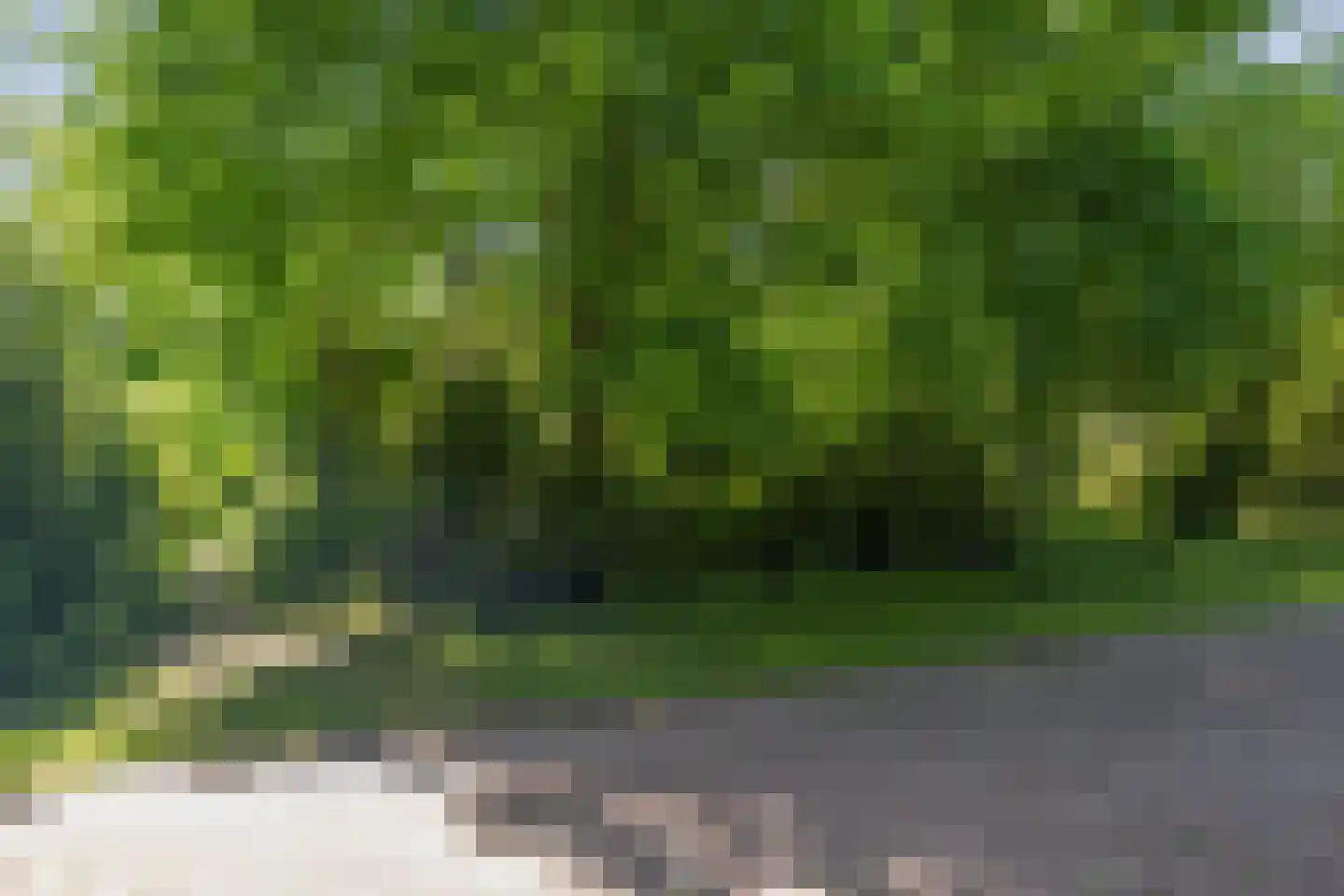 Berkenlaan 18 Schoonebeek thumbnail 89