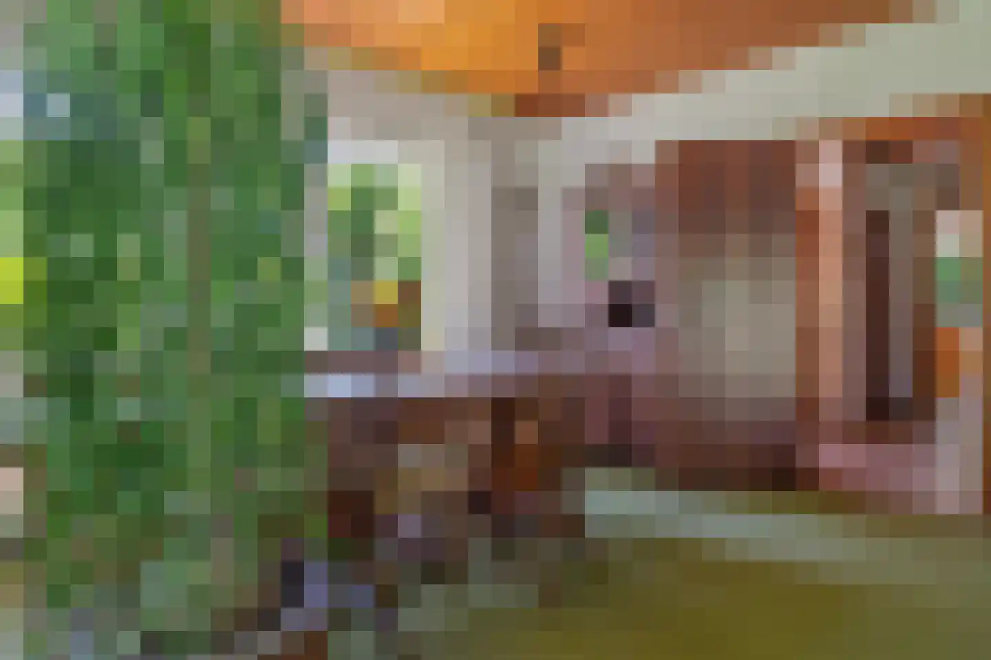 Berkenlaan 18 Schoonebeek thumbnail 9