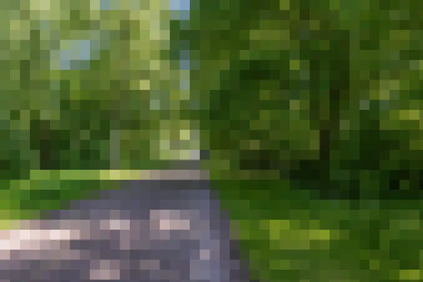Berkenlaan 18 Schoonebeek thumbnail 90