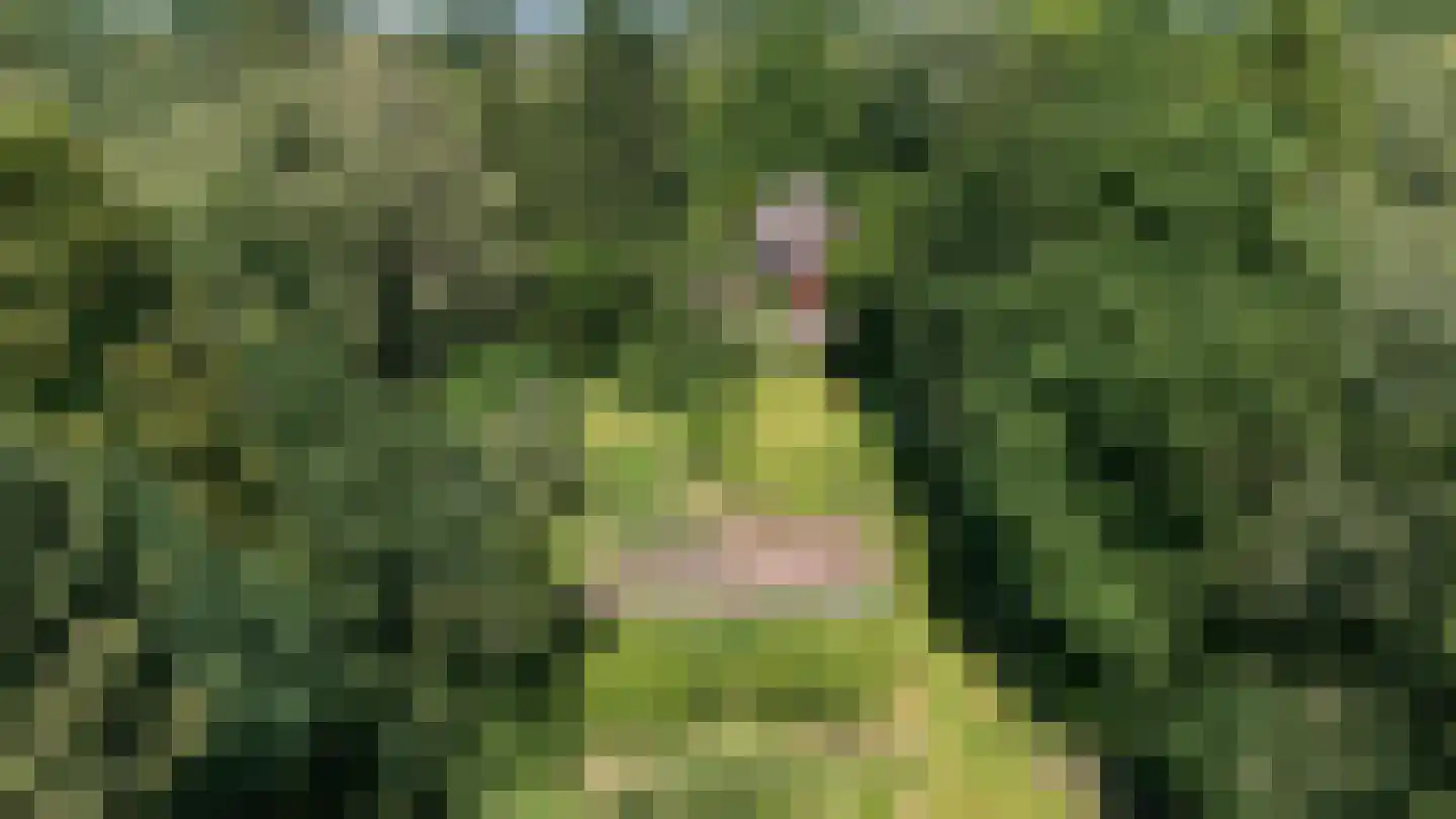 Berkenlaan 18 Schoonebeek thumbnail 91