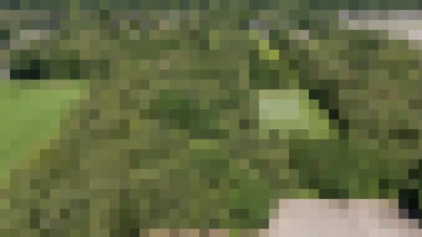 Berkenlaan 18 Schoonebeek thumbnail 92