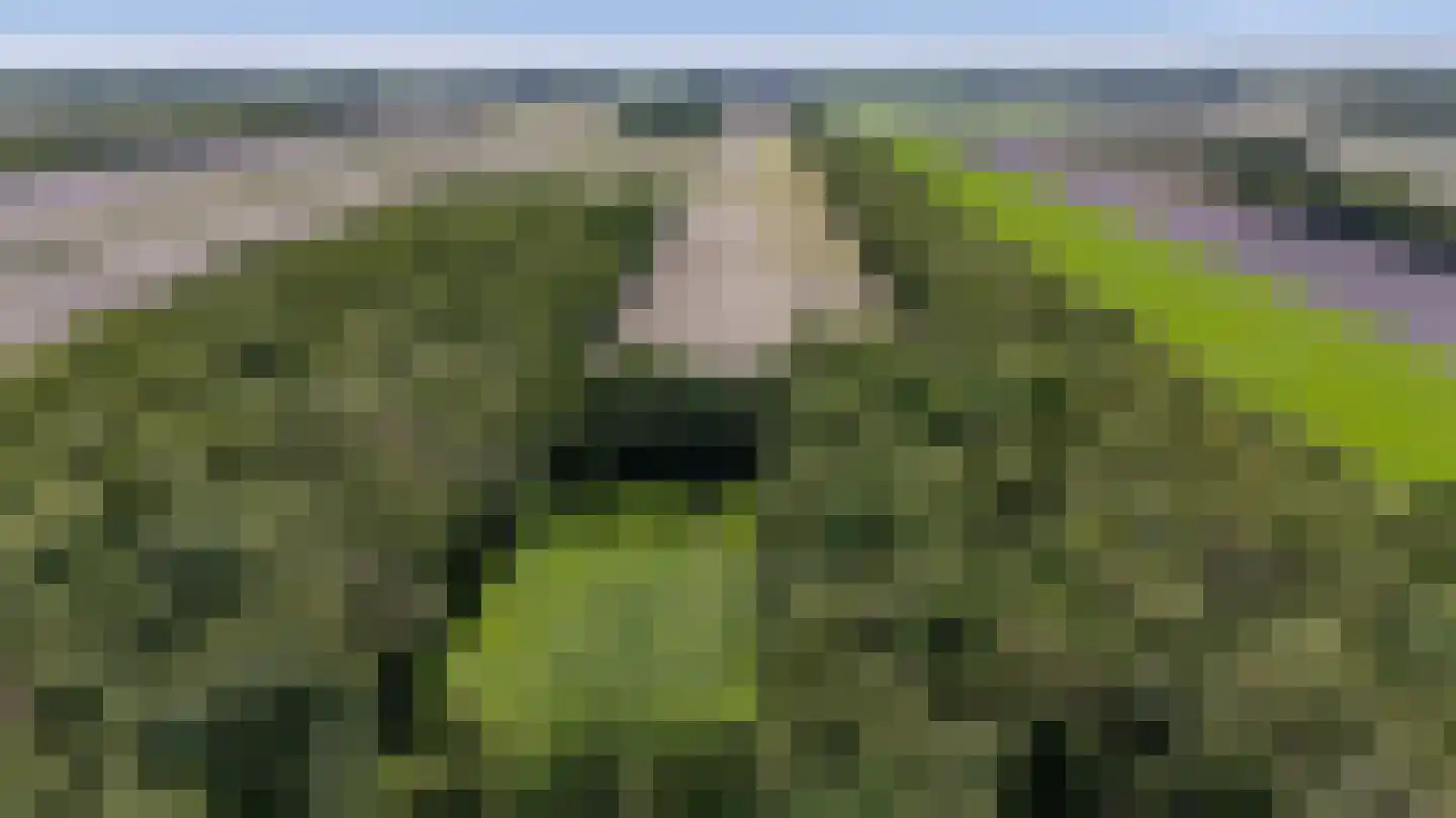 Berkenlaan 18 Schoonebeek thumbnail 94