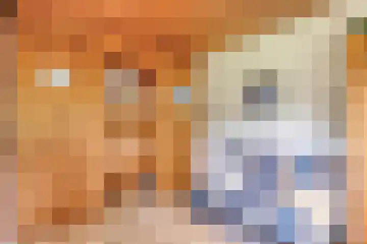 Berkenlaan 19 Leusden thumbnail 16