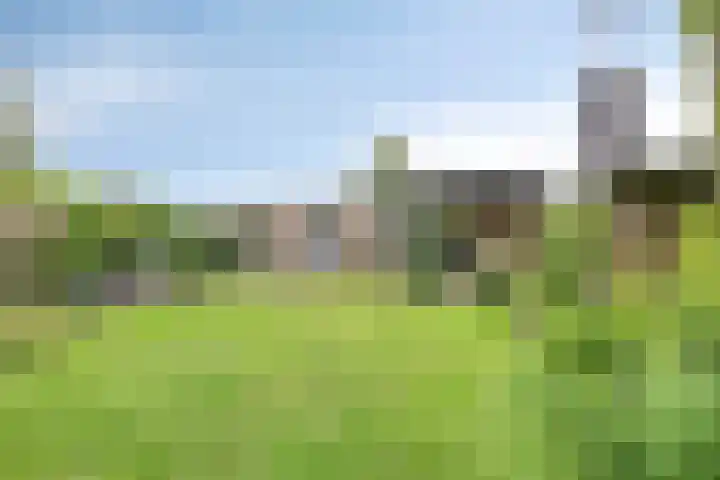 Berkenlaan 19 Leusden thumbnail 19