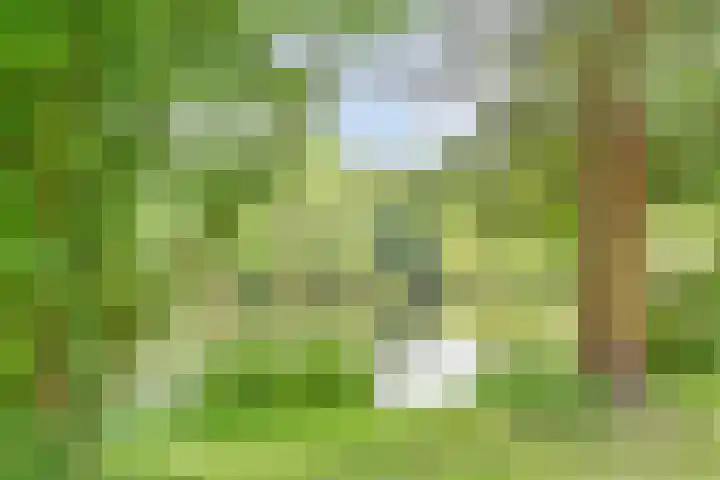 Berkenlaan 19 Leusden thumbnail 20