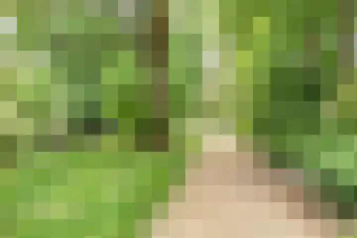 Berkenlaan 19 Leusden thumbnail 21