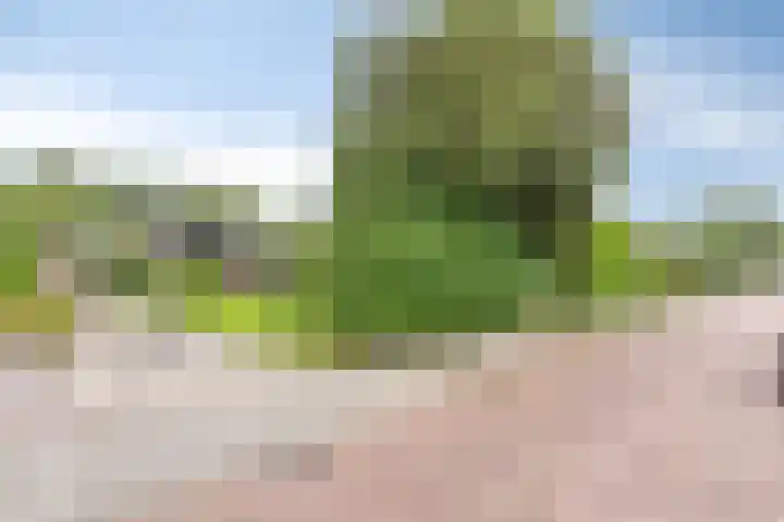 Berkenlaan 19 Leusden thumbnail 22