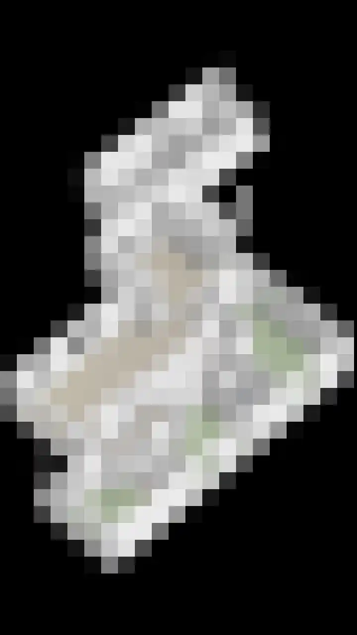 Berkenlaan 19 Leusden thumbnail 24