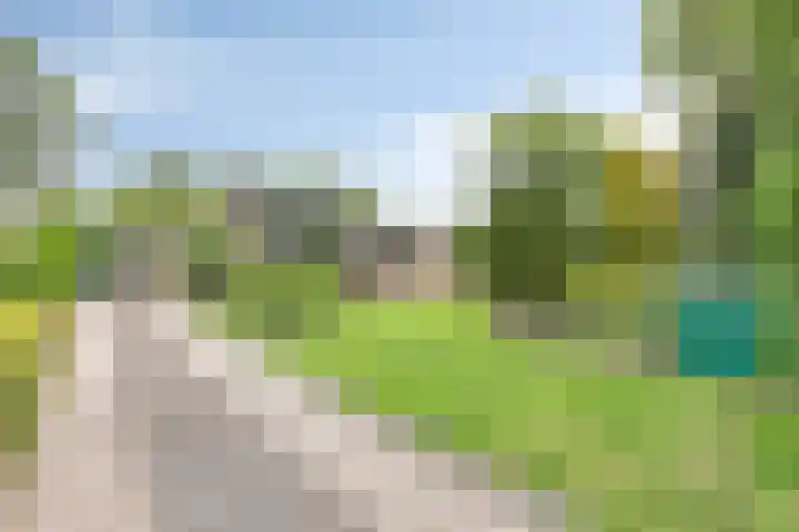 Berkenlaan 19 Leusden thumbnail 25