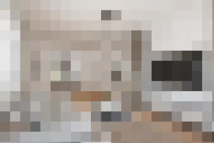 Berkenlaan 19 Leusden thumbnail 8