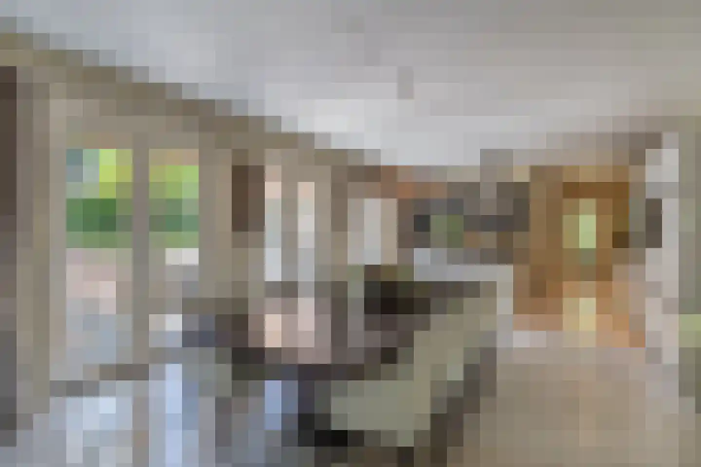 Berkenlaan 19 Oss thumbnail 10
