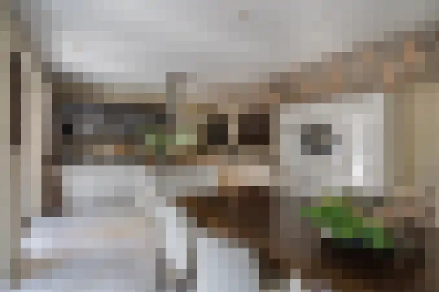 Berkenlaan 19 Oss thumbnail 11