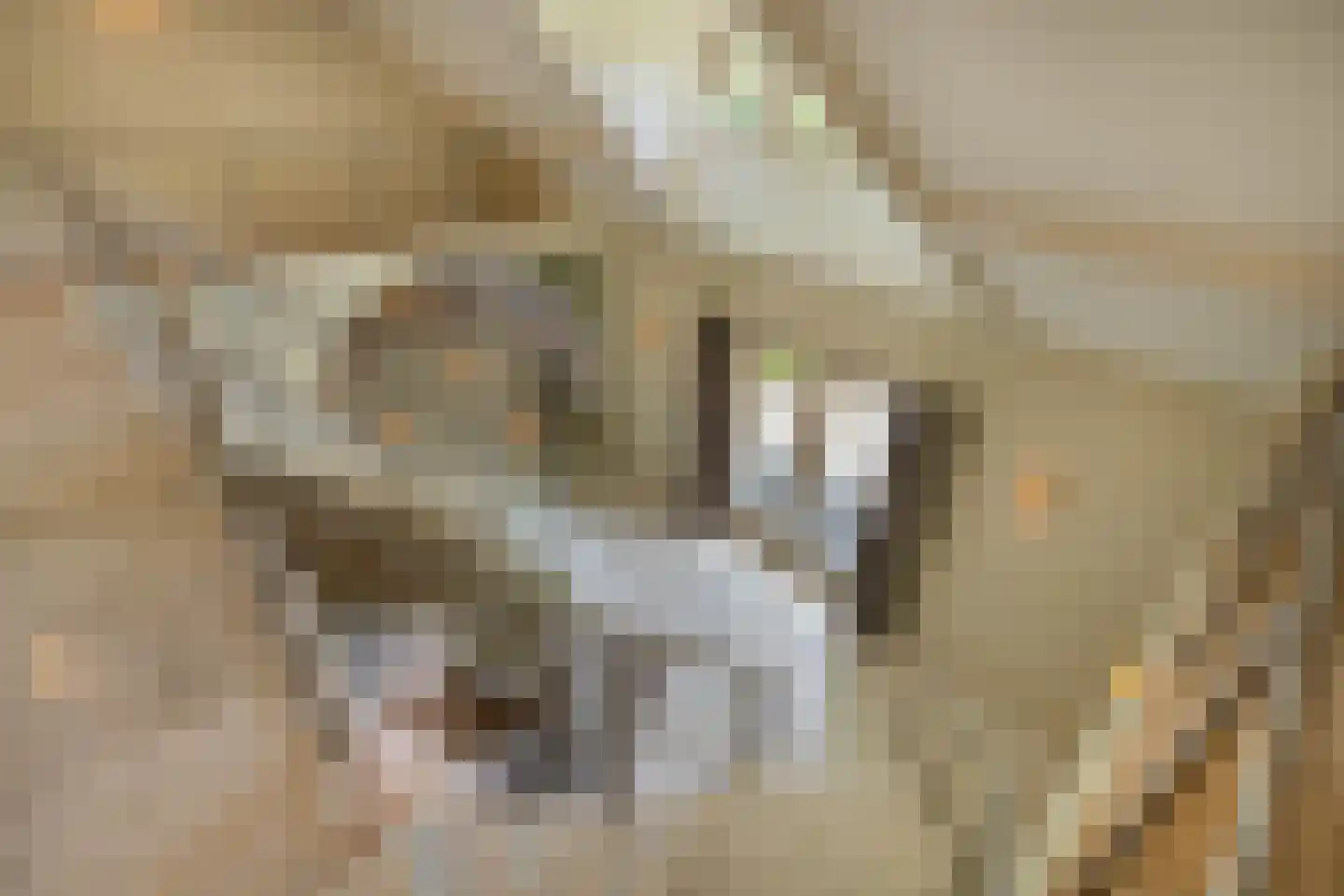 Berkenlaan 19 Oss thumbnail 13
