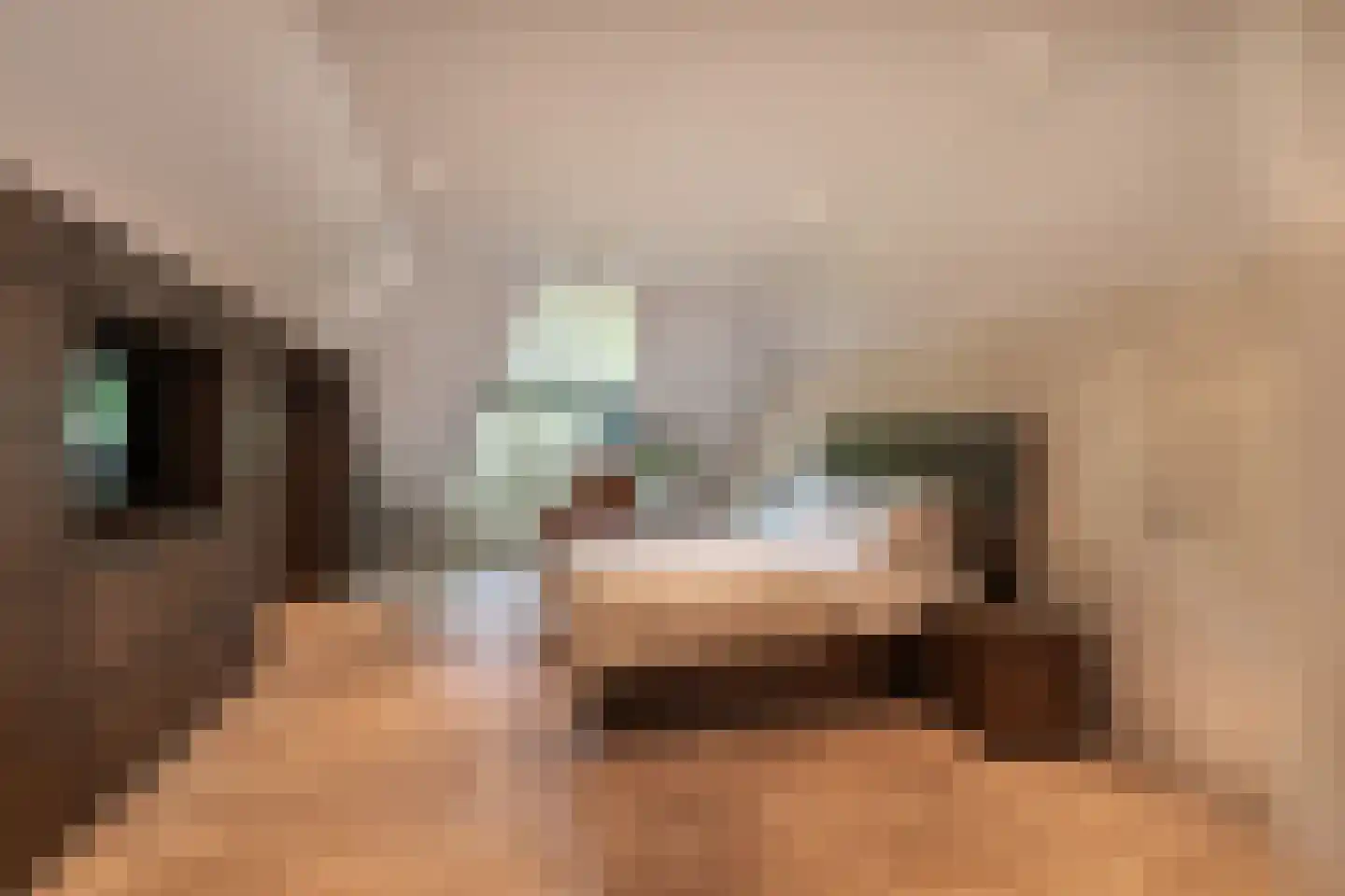 Berkenlaan 19 Oss thumbnail 14