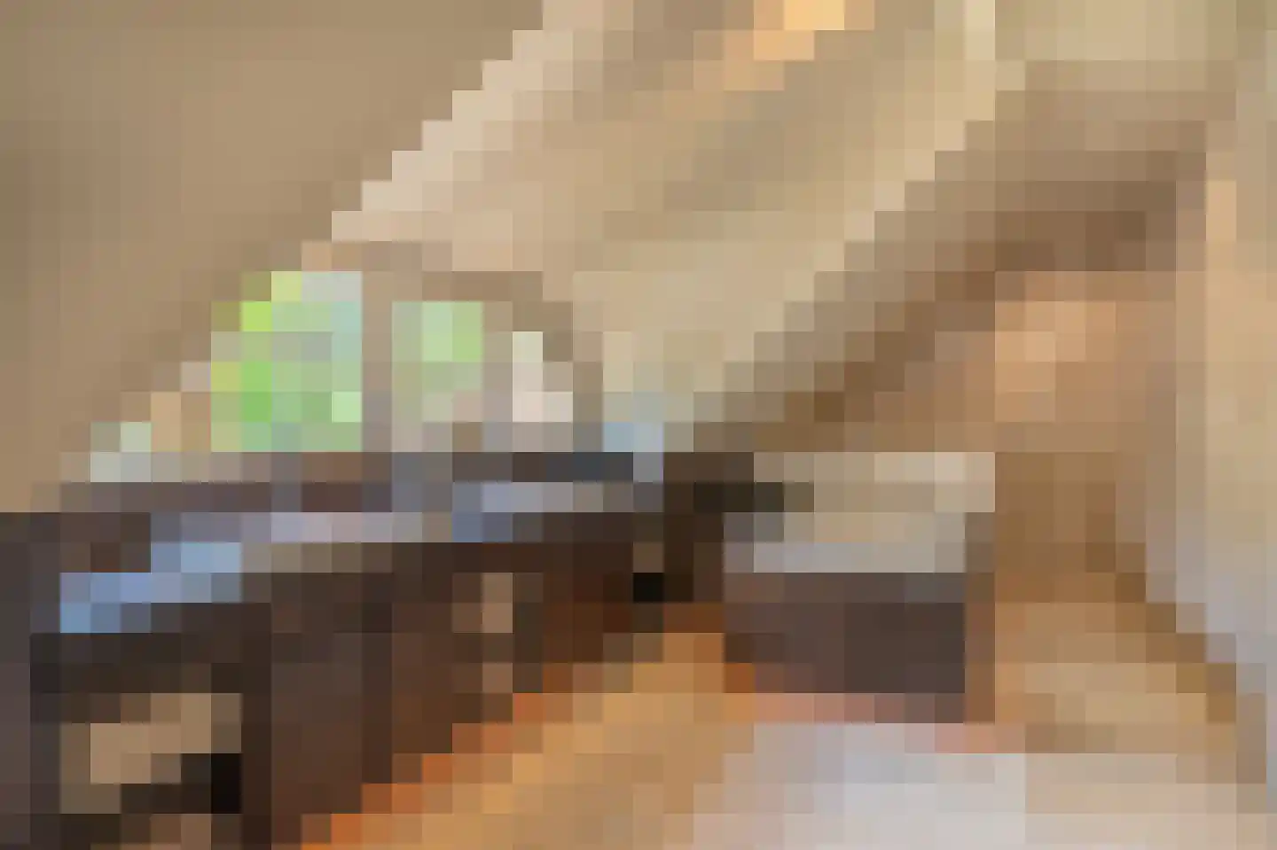Berkenlaan 19 Oss thumbnail 15