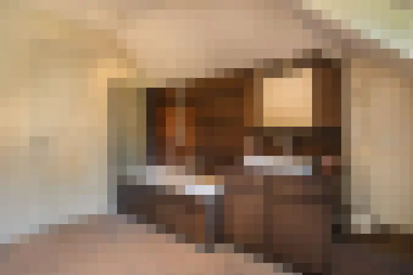 Berkenlaan 19 Oss thumbnail 16